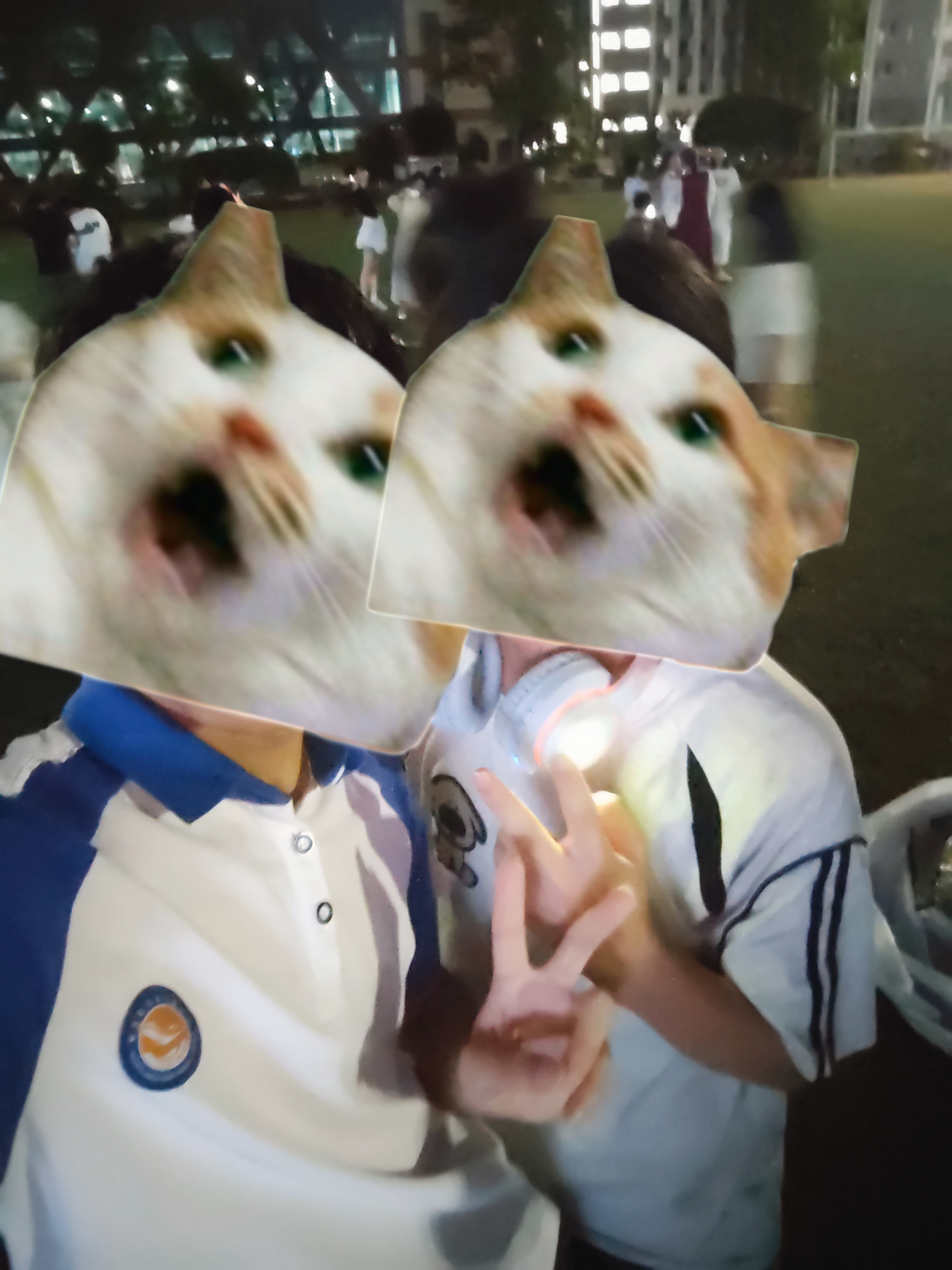 retouch_2025060121464362.jpg